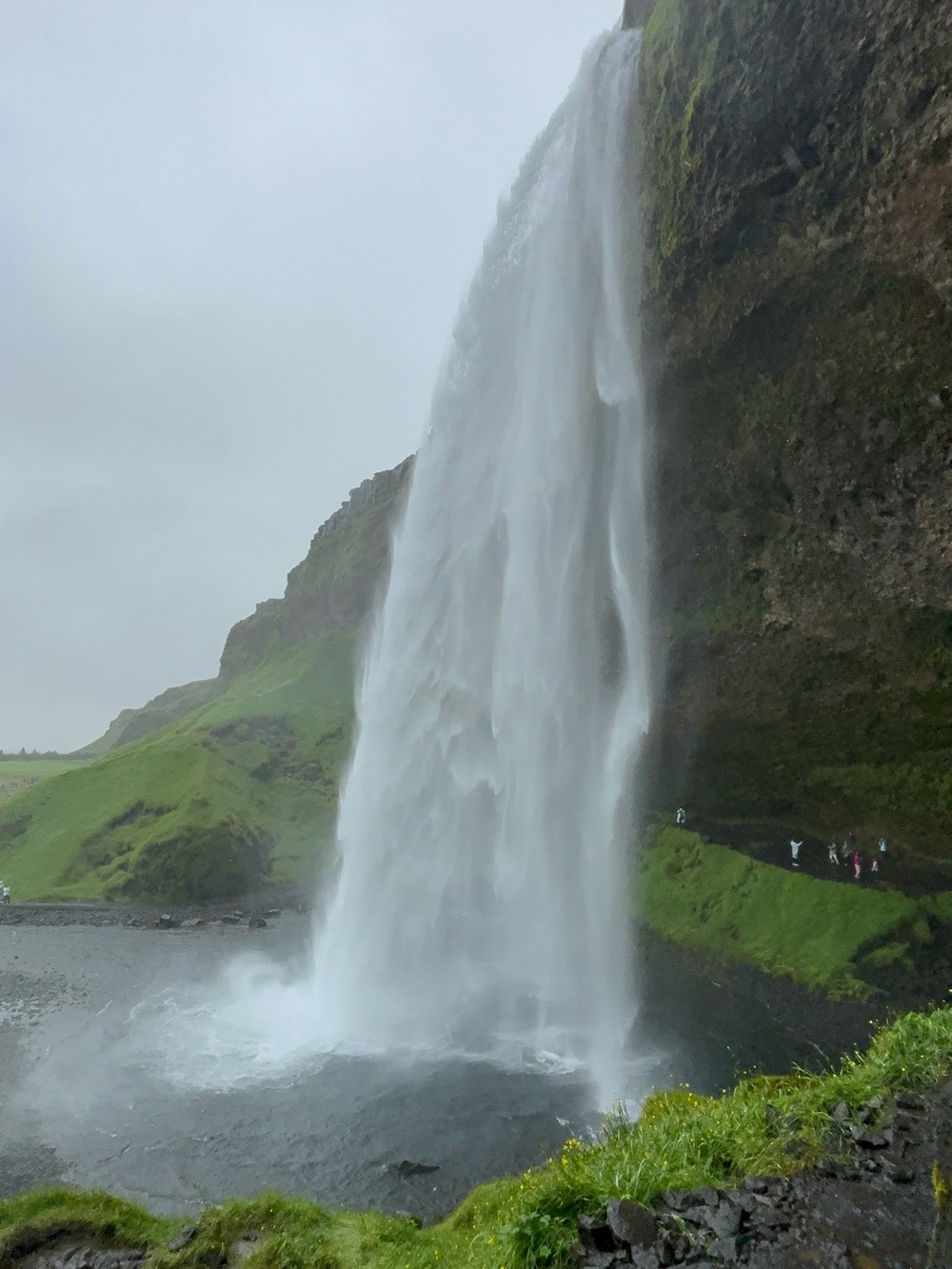 Iceland Snacks and Souvenir